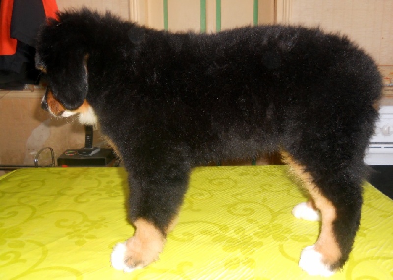 Hanoï Du Domaine D'Athos