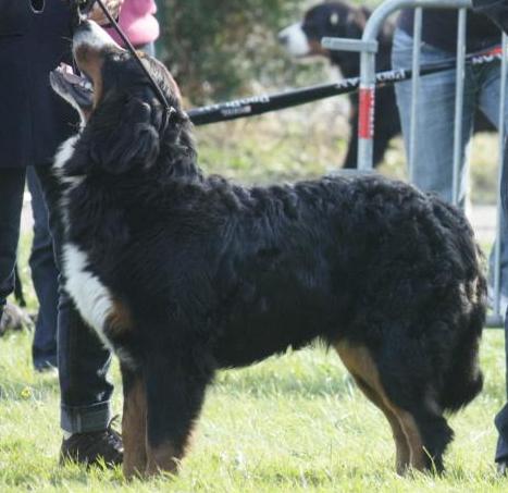 Fridhilde Du Domaine D'Athos