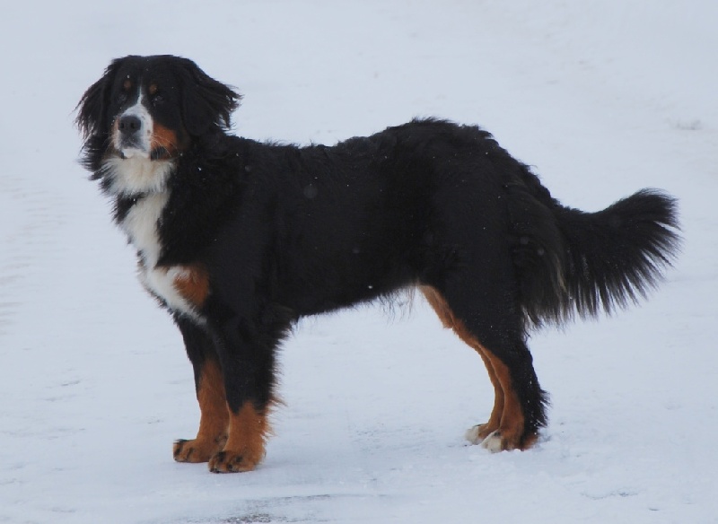 HawaÏ Du Domaine D'Athos