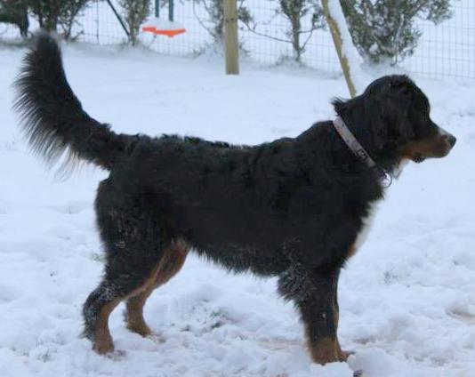 Hyoko Du Domaine D'Athos