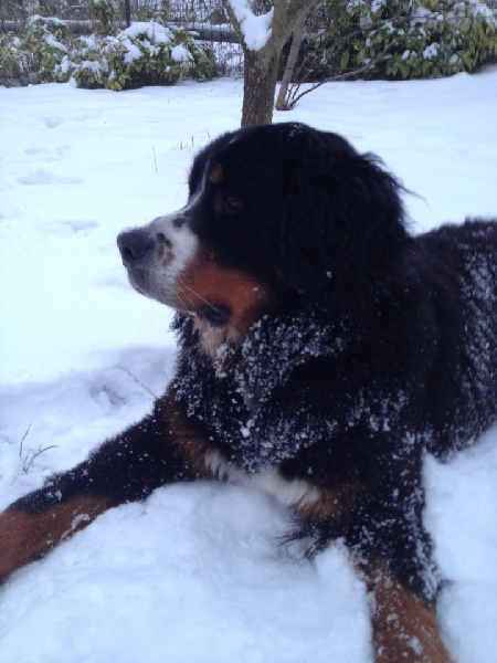 Happy Du Domaine D'Athos