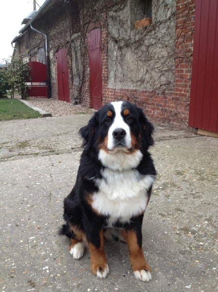 Heidy Du Domaine D'Athos