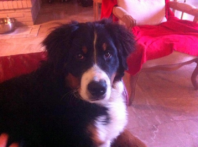 Idole Du Domaine D'Athos