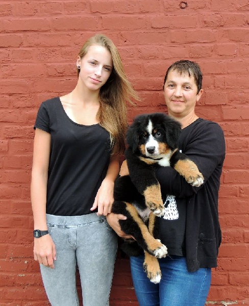 Du Domaine D'Athos - Bouvier Bernois - Portée née le 13/05/2014