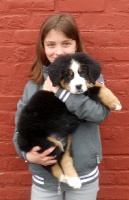 Heidy collier bleu à fleur